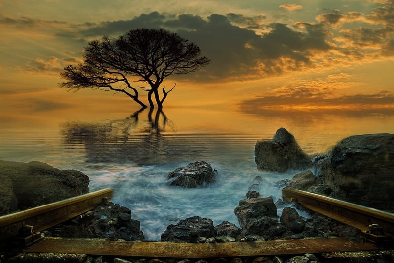 Mystical Paradise