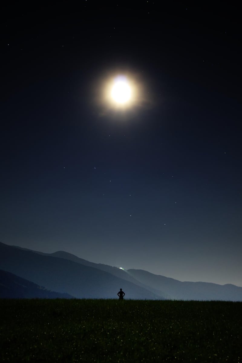 Moon Blossoms