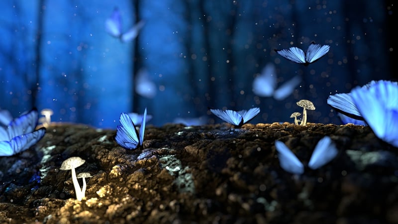 Magical Trees
