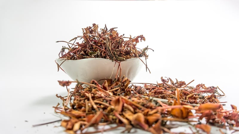 Enchanted Herbs
