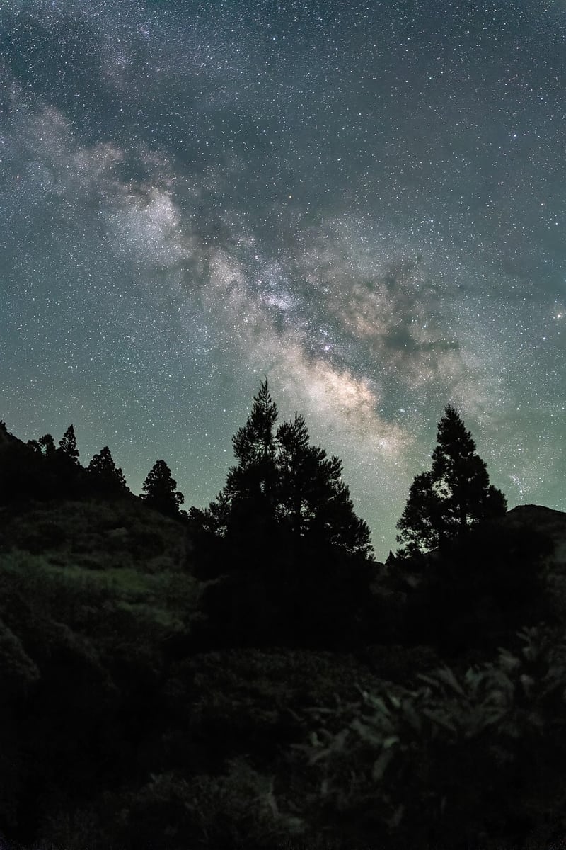 Night Magic